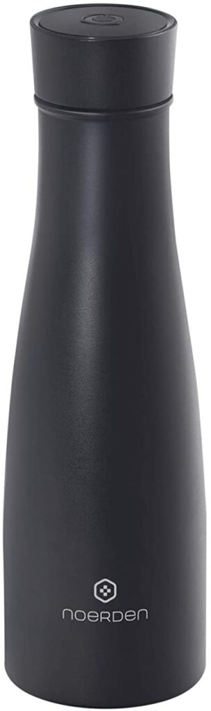 LIZ 16 oz Smart Bottle Black